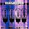 ELLEG!RL'S ELLEGARDEN LIST?