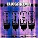ELLEG!RL'S ELLEGARDEN LIST?