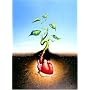 Tulip Farms and Leper Colonies (American Poets Continuum)