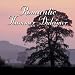 Romantic Hammer Dulcimer