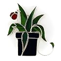 Spider Plant Nightlight Cover