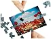 Lomographic Fotoclips