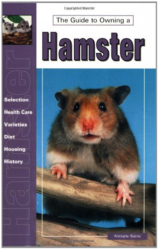 Guide to Owning a Hamster