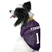 LSU Tigers #1 Purple Dog Football Jersey