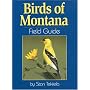Birds of Montana Field Guide