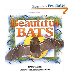 Beautiful Bats