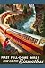 Hiawatha 1953, Art Poster by Addison, size 24
