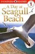 A Day at Seagull Beach (DK Reader - Level 1 (Quality))