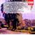 Vaughan Williams: Symphony #5, Norfolk Rhapsody & The Lark Ascending; Bernard Haitink; Sarah Chang