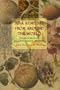 Folk Remedies from Around the World: An International Collection of Time-Honored, All Natural Treatments for Common Ailments
