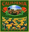 California Poppies Coverlet