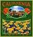 California Poppies Coverlet