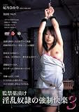  監禁薬漬け 淫乱奴隷の強制快楽3 妃乃ひかり [DVD]  