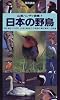 日本の野鳥 (山渓ハンディ図鑑)