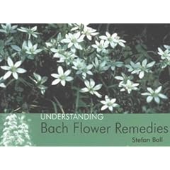 Understanding Bach Flower Remedies