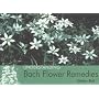 Understanding Bach Flower Remedies (Understanding)