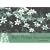 Understanding Bach Flower Remedies