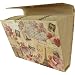 Bon Voyage Expandable Accordeon File folder