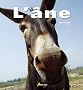 L'�ne