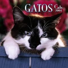 Gatos/ Cats Wall Calendar: 2004