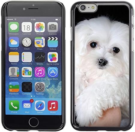 ZOOCASE Slim PC / Aluminium Sleek Case Cover Armor Shell - maltese dog white small longhair - Apple Iphone 6 Plus 5.5