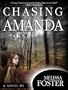 Chasing Amanda (Mystery/Suspense)