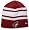 Phoenix Coyotes