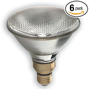 GE Lamps 17986 100 Watt Outdoor Halogen Floodlight PAR38 Light Bulb, 6-Pack by General Electric