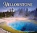 Yellowstone Impressions