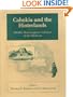Cahokia and the Hinterlands: Middle Mississippian Cultures of the Midwest