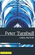 Chill Factor (Hennessey and Yellich Mysteries)