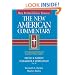 The New American Commentary Volume 20 - Micah, Nahum, Habakkuh, Zephaniah