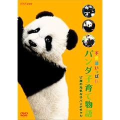 �p���_�q��ĕ��� ~17���̌��C�Ȏq�p���_�����~ [DVD]