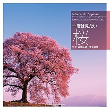 一度は見たい桜