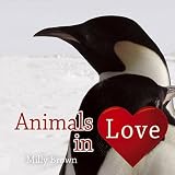 Animals in love