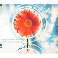 Psychosomatic Wellness: Guided Meditations, Affirmations and Music to Heal Your Bodymind by Candace Pert