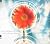 Psychosomatic Wellness