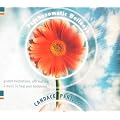 Psychosomatic Wellness: Guided Meditations, Affirmations and Music to Heal Your Body and Mind