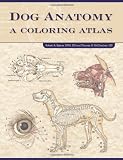 Color atlas of small animal anatomy : the essentials