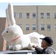A HUGE STUFFED BUNNY! 52"x52"x36" SUPER-SIZED ABSOLUTELY MASSIVE CROUCHING SOFT PLUSH EASTER FUN - AMERICAN MADE IN THE USA AMERICA - COLOR: WHITE
