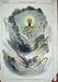 1849 Colour Print Saint Davids Day Harp King Crown