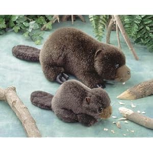 Mother and Baby Beavers