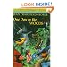 One Day in the Woods