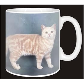 BRITISH SHORTHAIR CAT Coffee Mug