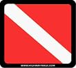 Diver Toll Pass Holder