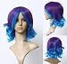 Cosplayland C725 - Vocaloid2 ANTI-THE HOLiC RIN 40cm Blue & Purple Wave Cosplay Carniva Wig