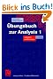 �bungsbuch zur Analysis I: Aufgaben und L�sungen (vieweg studium; Grundkurs Mathematik)