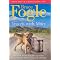 Fun with Fido: Traveling, Hiking and Gardening