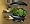 International Basil