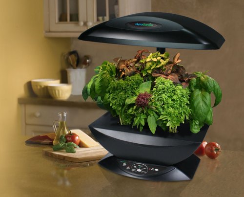 AeroGarden  International Basil Seed Kit